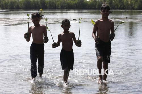 Rehabilitasi Mangrove Topang Produktivitas Perikanan dan Ketahanan Pangan