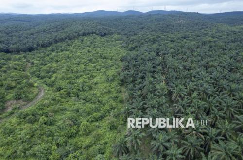 Implementasi Pasal 33 UUD 1945 Dorong Pemerataan Ekonomi