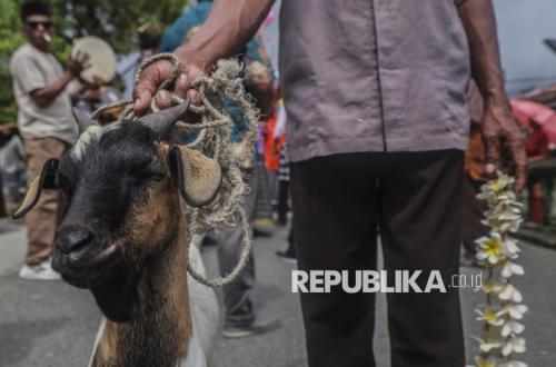 Indonesia Membayar, Siapa yang Menikmati? Menagih Keberpihakan Stakeholder di Kebijakan Dam Haji