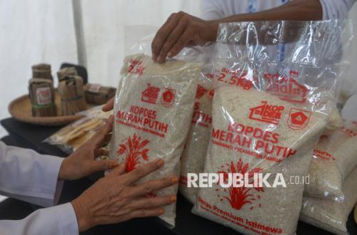 Kemenkop Dorong Koperasi Naik Kelas Lewat Akses Pasar Global