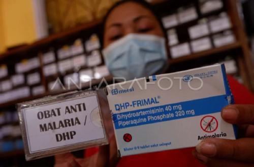 Dinkes Kaltim Petakan Daerah Endemis Tinggi Demi Percepat Eliminasi Malaria