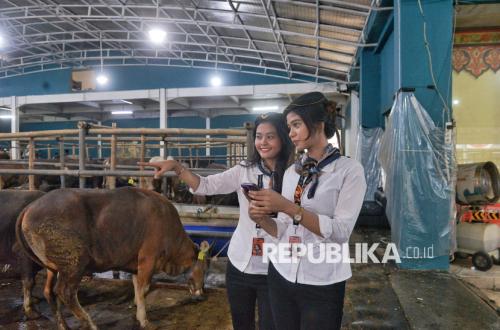 Cara Unik Penjual Hewan Kurban di Depok Gaet Pembeli