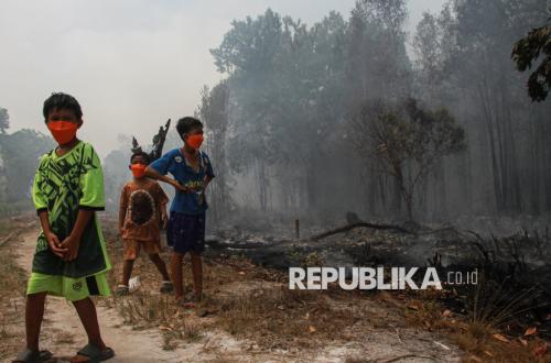 Polda Kalimantan Tengah Tetapkan 12 Tersangka Kasus Karhutla