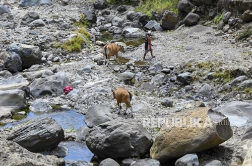 Ketika Wahyu Mengajak Manusia Membaca Batu sebagai Penjaga Kehidupan