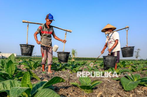 Alasan BMKG Perkirakan El Nino Saat Ini tak akan Sekering 1997