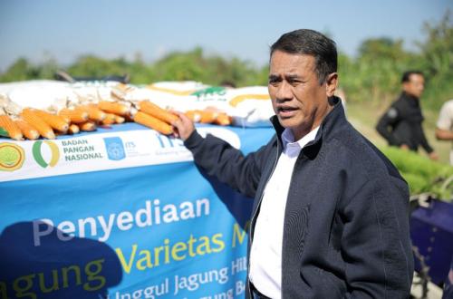 Kementan Beli Benih Jagung Hibrida ITS Rp10 Miliar untuk 13.000 Hektare