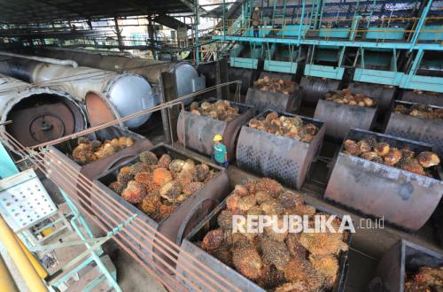 Harga Sawit Anjlok, Petani Minta Pemerintah Perjelas Mekanisme Ekspor Satu Pintu