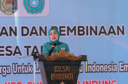PKK Lampung Canangkan Program Desa Tapis untuk Perkuat Pemberdayaan Keluarga