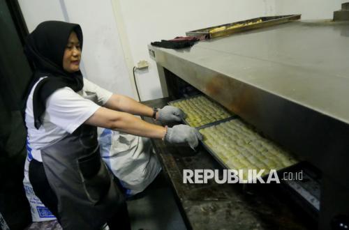 Menteri UMKM: Rp 70 Triliun KUR Disalurkan ke Sektor Mikro