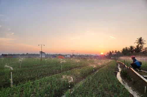Pengguna Electrifying Agriculture PLN di Sulselrabar Meningkat 8,2 Persen