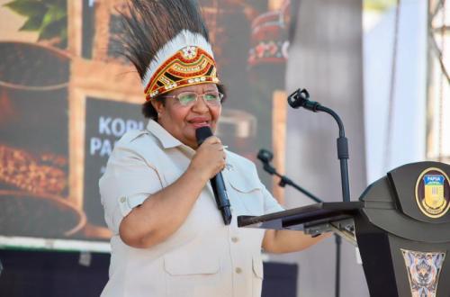 Kemendagri Prioritaskan Perbaikan Tata Kelola Dana Otsus Papua Demi Kesejahteraan