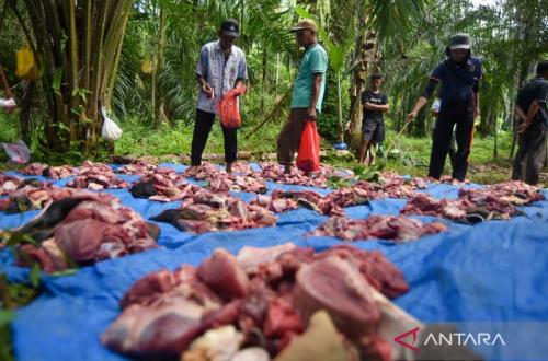 Tradisi Mahantam di Agam Bertahan di Tengah Bencana