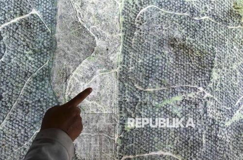 Lebih dari 90 Persen Lahan TWA Bukit Tambi Ditanami Kelapa Sawit