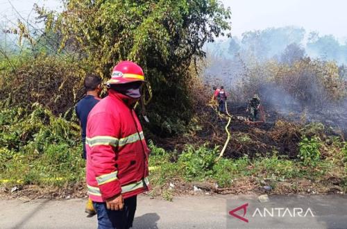 BPBD Aceh Barat Padamkan Kebakaran Lahan Dekat Permukiman di Meurebo