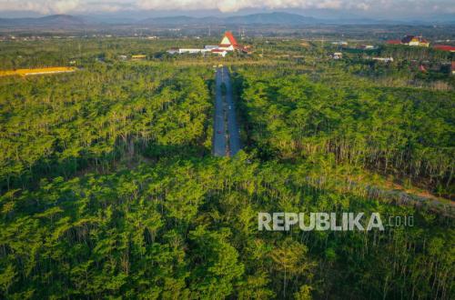 Indonesia Tawarkan Peluang Investasi Karbon Kehutanan di Forum Global New York