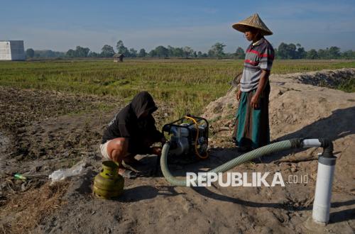 Melawan Kemarau, Petani Gowa Andalkan Sumur Bor untuk Menjaga Sawah Tetap Produktif