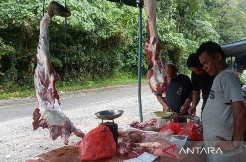 Persediaan Hewan Kurban di Aceh Selatan Cukup untuk Idul Adha