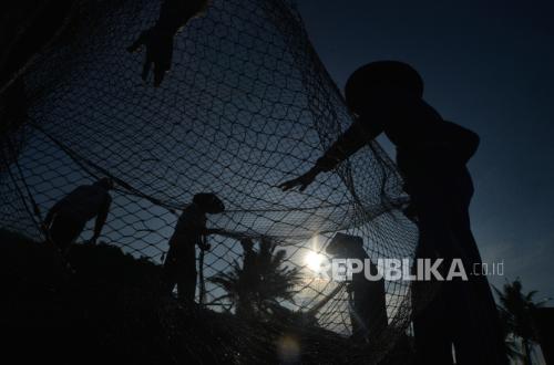 Ikan Kian Kerdil, Masa Depan Meja Makan Kita Terancam: Inilah Temuan Mengerikan dari James Cook Univ