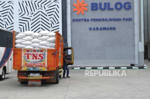 Ketika Kutu Beras Menyergap Permukiman 