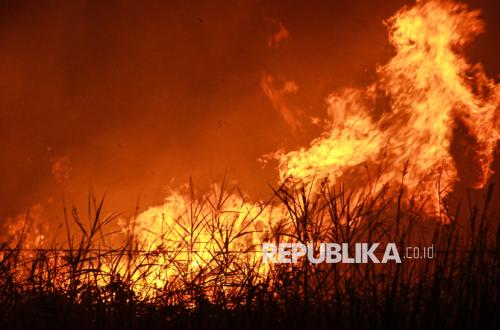 BNPB: Jarak Pandang di Kalimantan Hanya 1 Hingga 1,5 Km