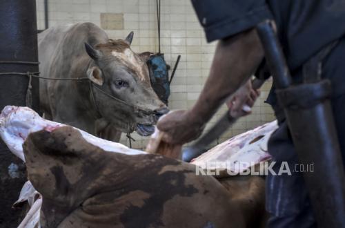Kiai Muda Ini Jelaskan Hukum Qurban Pakai APBN, Boleh Asalkan....