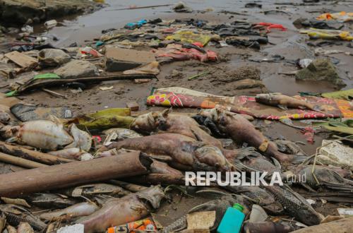 Ini Efek Kronis Insiden Pencemaran Pestisida di Sungai Cisadane Menurut Peneliti BRIN