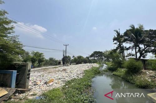 Pemkab Bekasi Sulap Lahan Eks Bangunan Liar Jadi Ruang Hijau di Bantaran Saluran Balong Tua