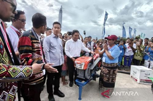 Wapres Gibran Apresiasi Kelompok Tani di Kupang untuk Suplai MBG