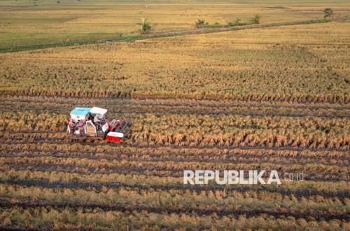 1.297 Koperasi Merah Putih di Jateng Berdiri di Lahan Sawah Dilindungi