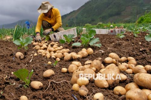 Geopolitik Perut Manusia