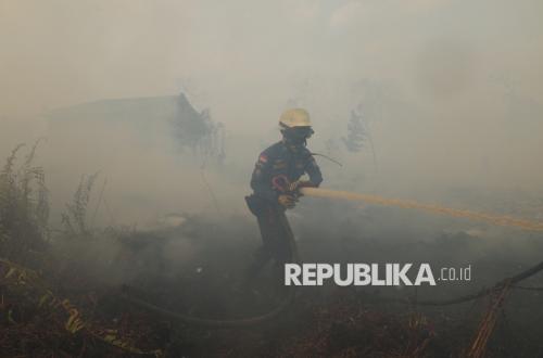 Kemenhut Wanti-Wanti Perusahaan di Kalbar: Jangan Tunggu Api Muncul Baru Bertindak