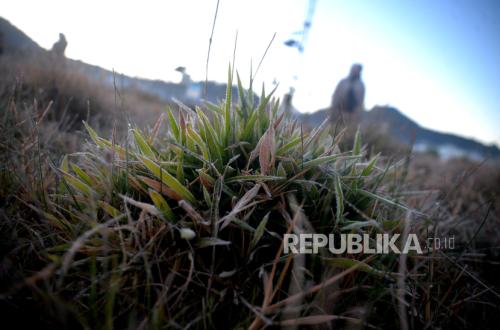 Dieng Membeku Hingga Bersalju, Suhu Capai Minus 1 Derajat