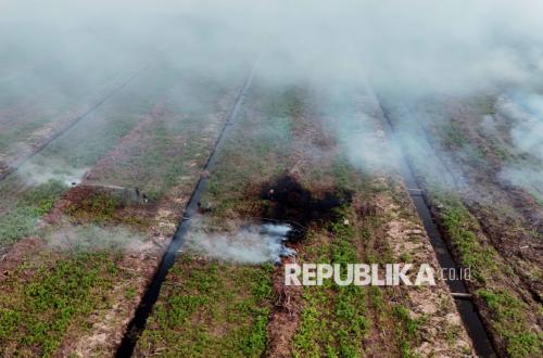 Pakar: Pencegahan Karhutla Gambut Harus Berbasis Sains
