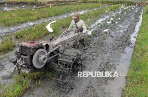TNI AD Cetak 553 Hektare Sawah di Kutai Timur untuk Perkuat Ketahanan Pangan