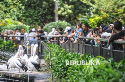 Ragunan Buka Malam untuk Jogging, Dorong Aktivitas Ekonomi Kawasan