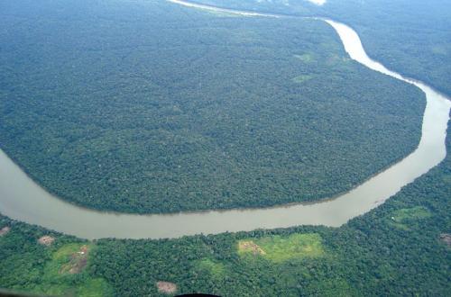 Brasil Gelontorkan Dana Jumbo untuk Industri Hijau dan Hutan