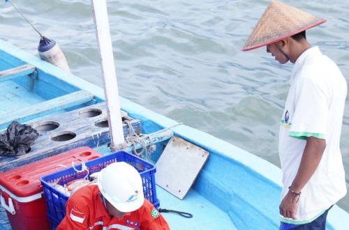 Pertamina Buka Suara Soal Kapal Nelayan tak Melaut Imbas Kenaikan Harga Solar