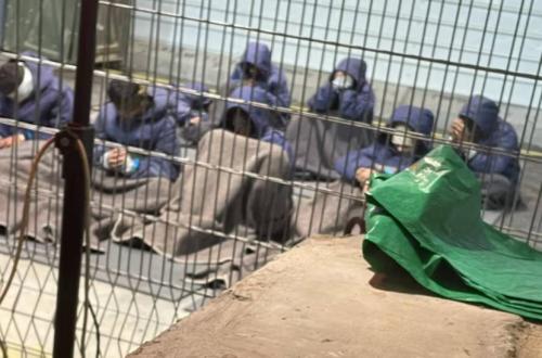 PBB Masukkan Israel dalam Daftar Hitam Negara Pelaku Pelecehan Seksual