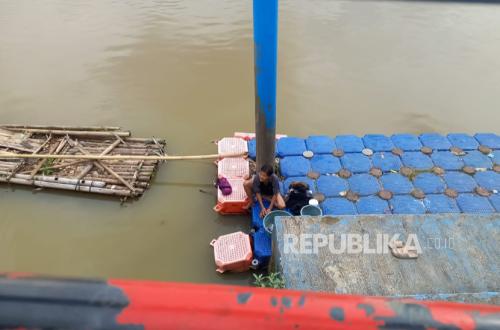 KLH: Dampak Pencemaran Air Sungai Cisadane dari Gudang Pestisida Capai 22,5 Kilometer