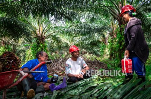 GAPKI Dorong Perempuan Raih Kesetaraan di Industri Sawit