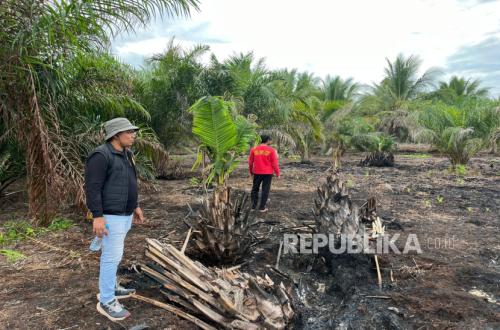 Karhutla, Penegakan Hukum Diperketat Untuk Efek Jera