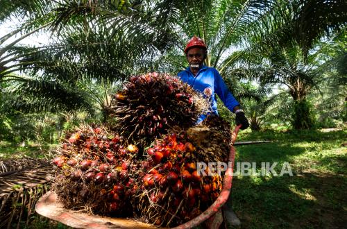 Mendorong Produk Turunan Sawit di Bidang Pangan Nasional