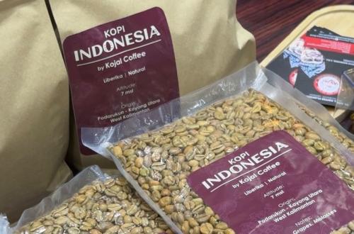 Kementan Perluas Kopi Arabika Kerinci 650 Hektare, Perkuat Hulu hingga Pasar
