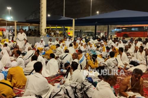 Membayar Dam di Tanah Air, Sebanyak 1.240 Ekor Kambing Jamaah Haji Disalurkan Baznas