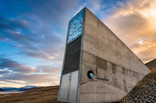 Tersembunyi di Arktik, Harta Karun 1,4 Juta Benih Svalbard Disiapkan untuk Hadapi Krisis Global
