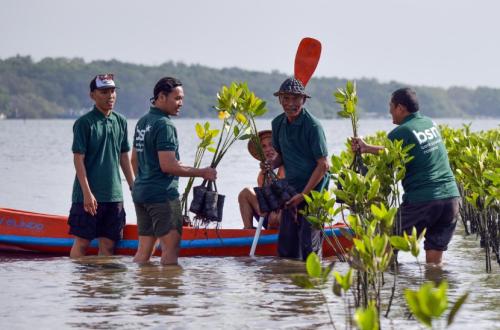 Hari Mangrove Sedunia, Bank BSN Pantau Pertumbuhan 1.150 Bibit Mangrove