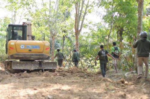 Kemenhut Ungkap Kasus Pembukaan Jalan Ilegal di Taman Nasional