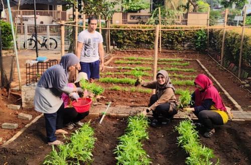 UMB Kembangkan Smart Rain Garden untuk Konservasi Air