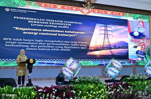 BPK Kawal Program Ketahanan Energi Lewat Pemeriksaan Tematik Nasional