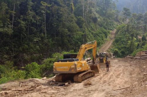 Kemenhut Limpahkan Kasus Pembalakan Liar di Solok ke Kejaksaan